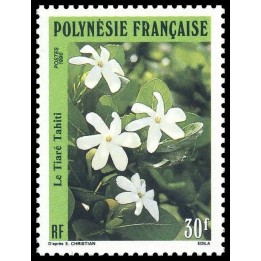 Polynesie Francaise - 0372