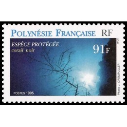 Polynesie Francaise - 0487