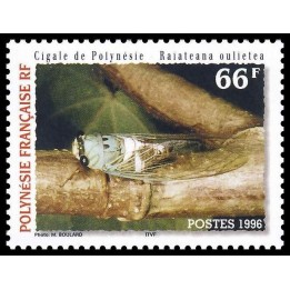 Polynesie Francaise - 0516