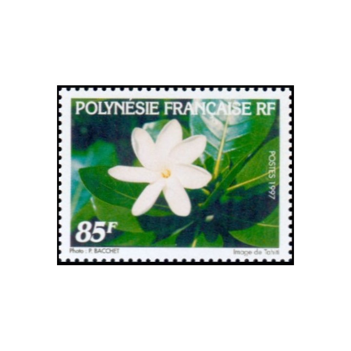 Polynesie Francaise - 0536
