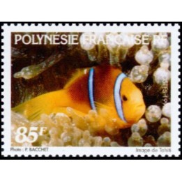 Polynesie Francaise - 0540