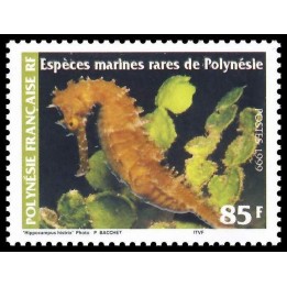 Polynesie Francaise - 0581