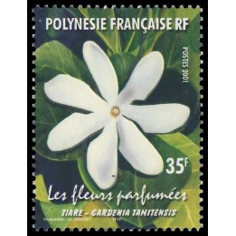 Polynesie Francaise - 0652