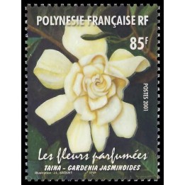 Polynesie Francaise - 0654