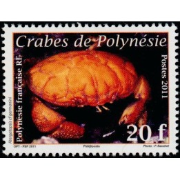 Polynesie Francaise - 0935