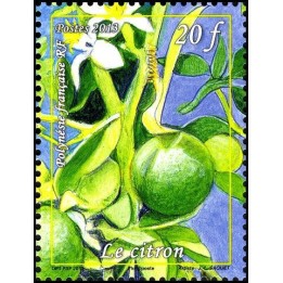 Polynesie Francaise - 1019