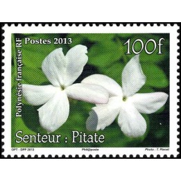 Polynesie Francaise - 1034
