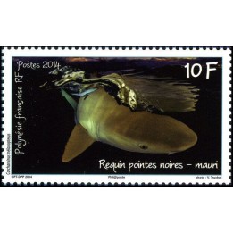Polynesie Francaise - 1065