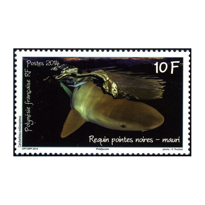 Polynesie Francaise - 1065