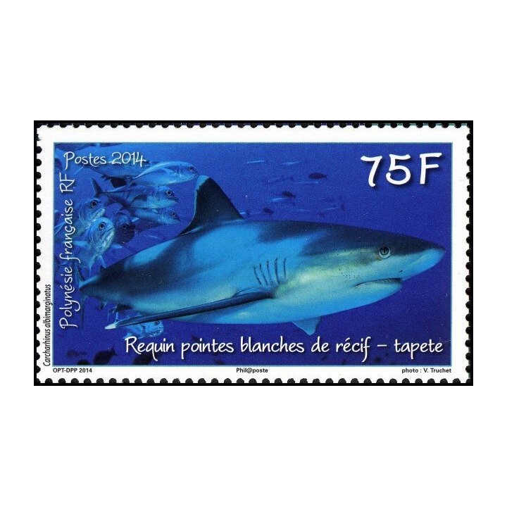 Polynesie Francaise - 1067