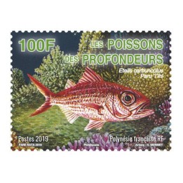 Polynesie Francaise - 1230