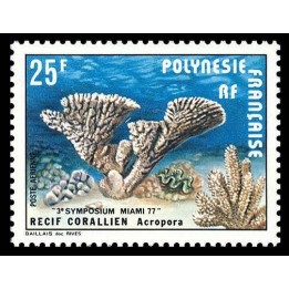 Polynesie Francaise - Poste Aérienne 121